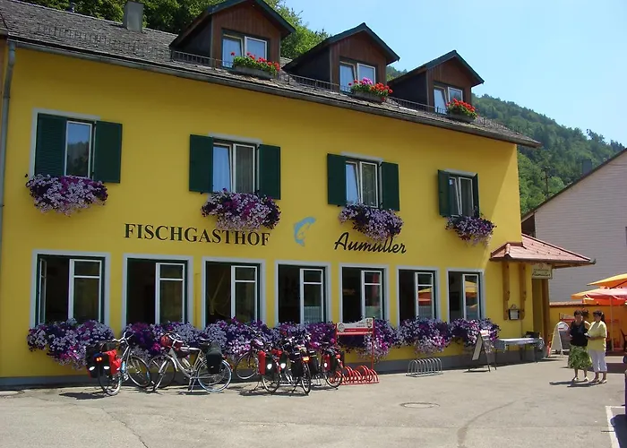 Värdshus Fischgasthof Aumueller Obermuhl