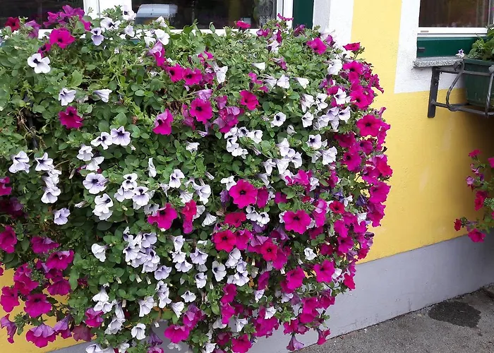 Fischgasthof Aumueller Värdshus Obermuhl