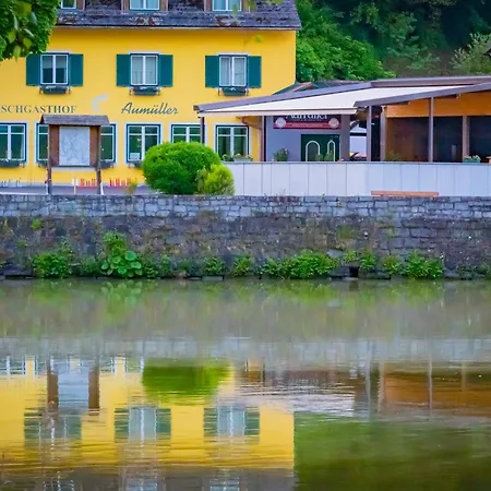 Πανδοχείο Fischgasthof Aumueller *