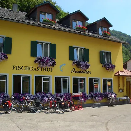 宾馆 Fischgasthof Aumueller Obermuhl